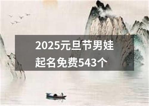 2025元旦节男娃起名免费543个