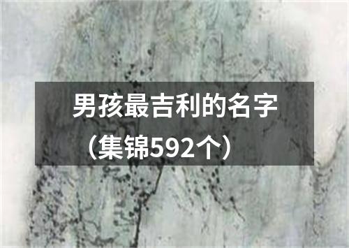 男孩最吉利的名字（集锦592个）