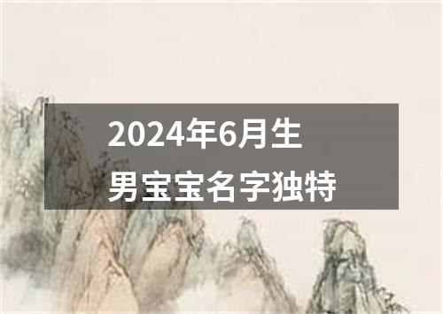 2024年6月生男宝宝名字独特