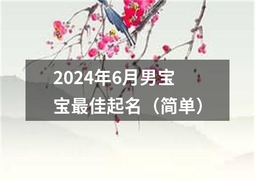 2024年6月男宝宝最佳起名（简单）