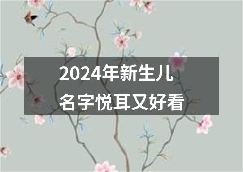 2024年新生儿名字悦耳又好看