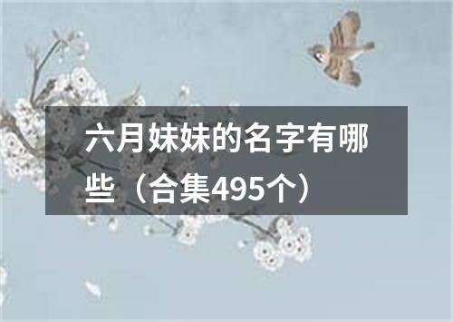 六月妹妹的名字有哪些（合集495个）