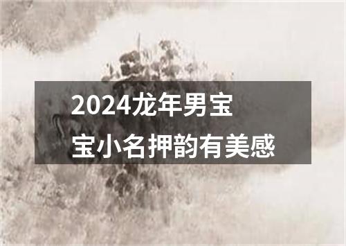 2024龙年男宝宝小名押韵有美感