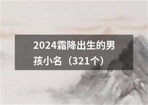 2024霜降出生的男孩小名（321个）