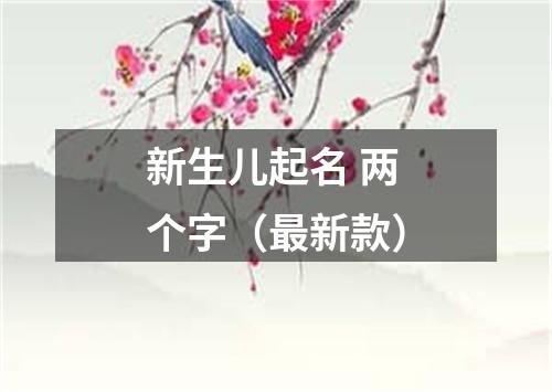 新生儿起名 两个字（最新款）