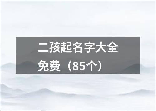 二孩起名字大全免费（85个）