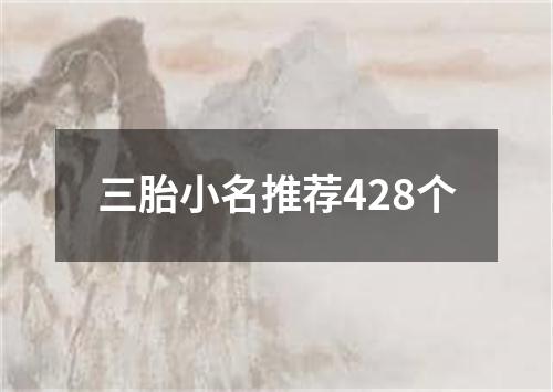 三胎小名推荐428个