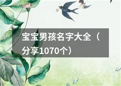 宝宝男孩名字大全（分享1070个）