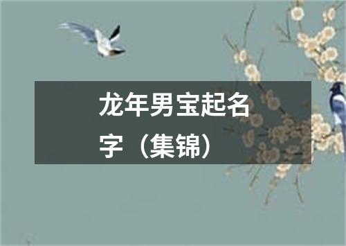 龙年男宝起名字（集锦）