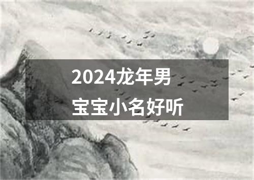 2024龙年男宝宝小名好听