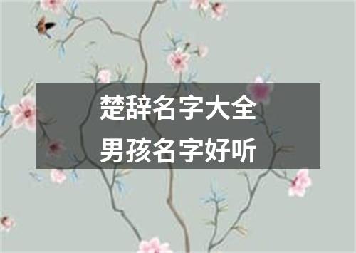 楚辞名字大全男孩名字好听