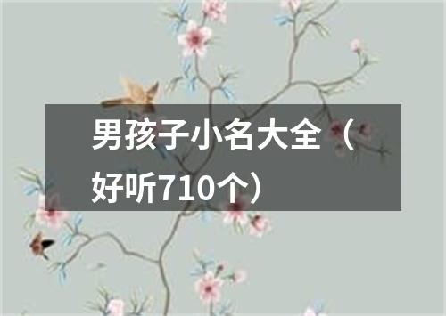 男孩子小名大全（好听710个）