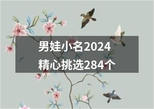 男娃小名2024精心挑选284个