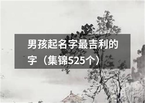 男孩起名字最吉利的字（集锦525个）