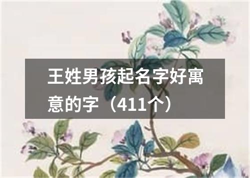 王姓男孩起名字好寓意的字（411个）