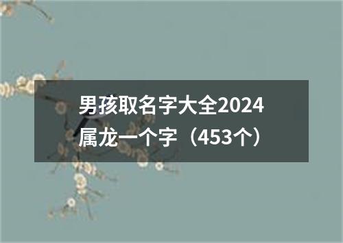 男孩取名字大全2024属龙一个字（453个）