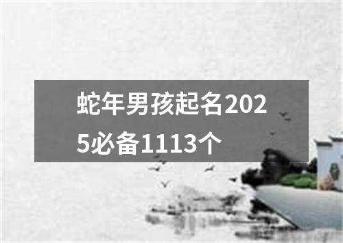 蛇年男孩起名2025必备1113个