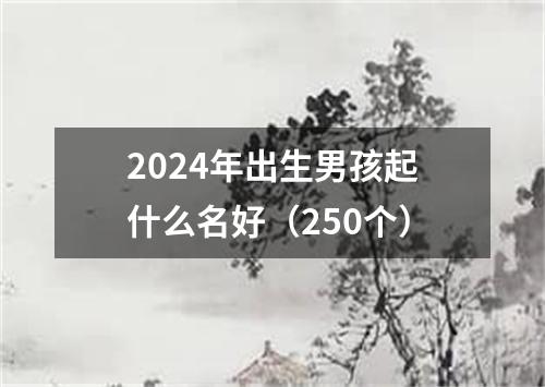 2024年出生男孩起什么名好（250个）