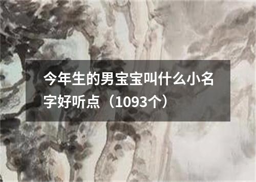 今年生的男宝宝叫什么小名字好听点（1093个）