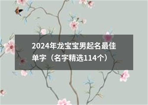 2024年龙宝宝男起名最佳单字（名字精选114个）