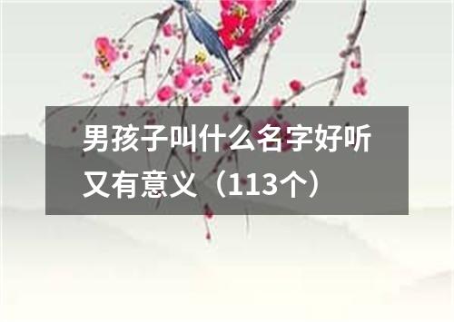 男孩子叫什么名字好听又有意义（113个）