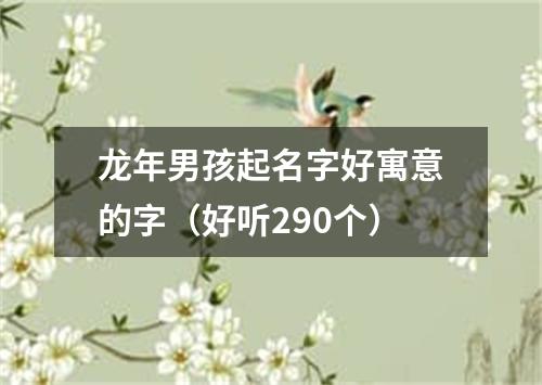 龙年男孩起名字好寓意的字（好听290个）