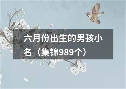 六月份出生的男孩小名（集锦989个）