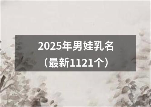 2025年男娃乳名（最新1121个）