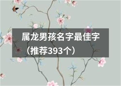 属龙男孩名字最佳字（推荐393个）