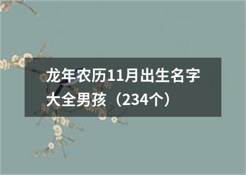 龙年农历11月出生名字大全男孩（234个）