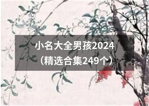 小名大全男孩2024（精选合集249个）