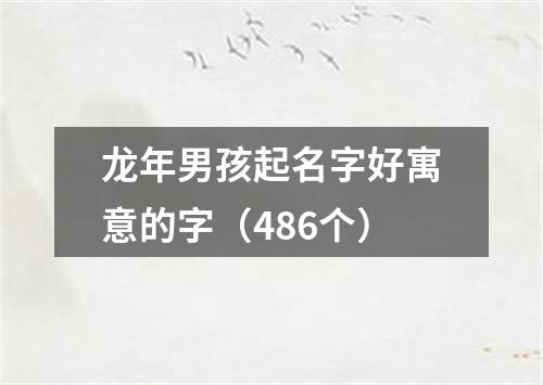 龙年男孩起名字好寓意的字（486个）