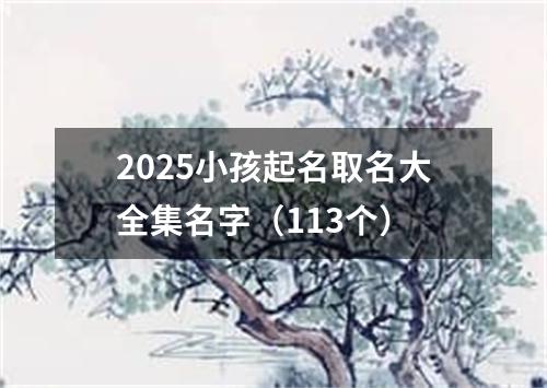 2025小孩起名取名大全集名字（113个）