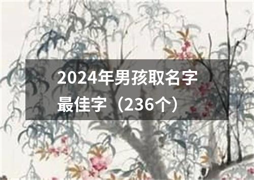 2024年男孩取名字最佳字（236个）