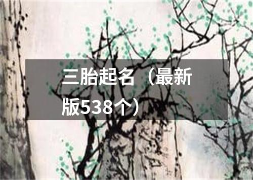 三胎起名（最新版538个）