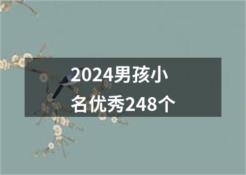 2024男孩小名优秀248个