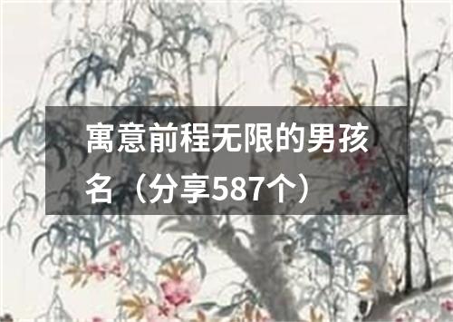 寓意前程无限的男孩名（分享587个）