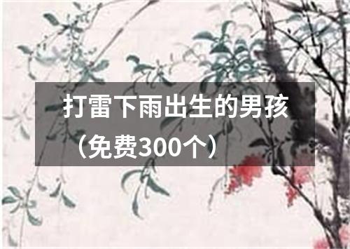 打雷下雨出生的男孩（免费300个）