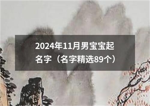 2024年11月男宝宝起名字（名字精选89个）