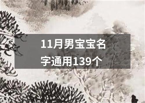 11月男宝宝名字通用139个