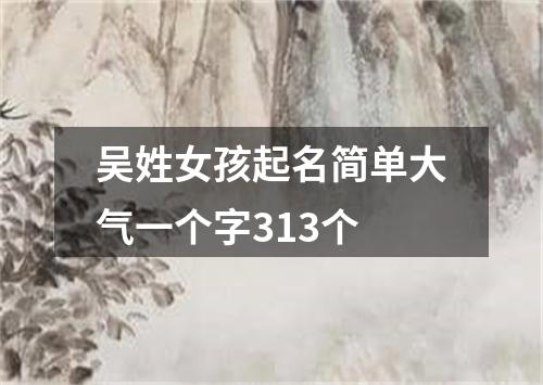 吴姓女孩起名简单大气一个字313个