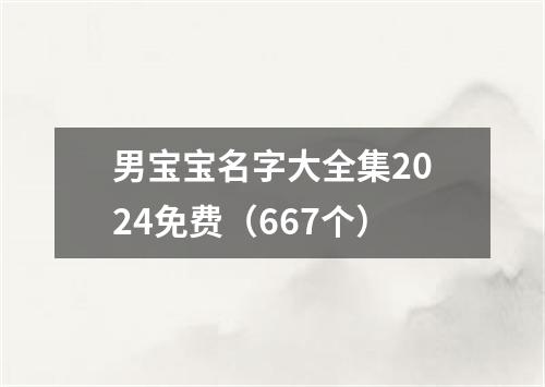 男宝宝名字大全集2024免费（667个）