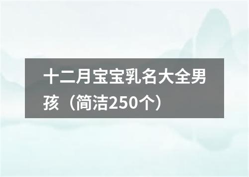 十二月宝宝乳名大全男孩（简洁250个）