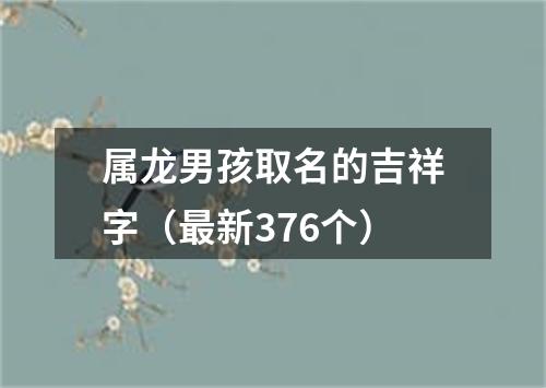 属龙男孩取名的吉祥字（最新376个）