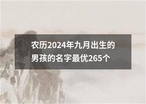 农历2024年九月出生的男孩的名字最优265个