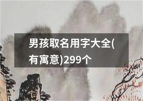 男孩取名用字大全(有寓意)299个