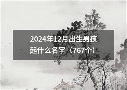 2024年12月出生男孩起什么名字（767个）