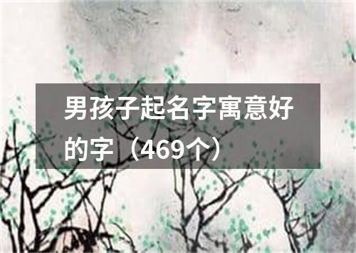 男孩子起名字寓意好的字（469个）