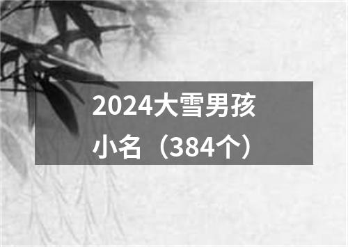 2024大雪男孩小名（384个）