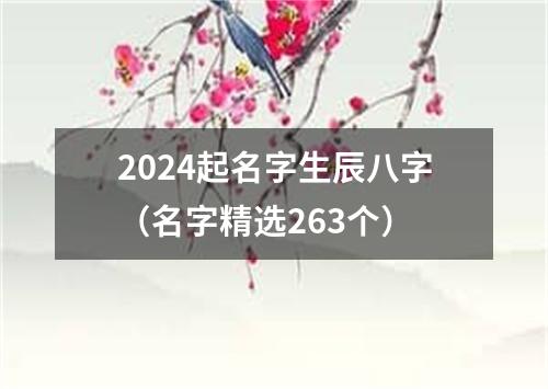 2024起名字生辰八字（名字精选263个）